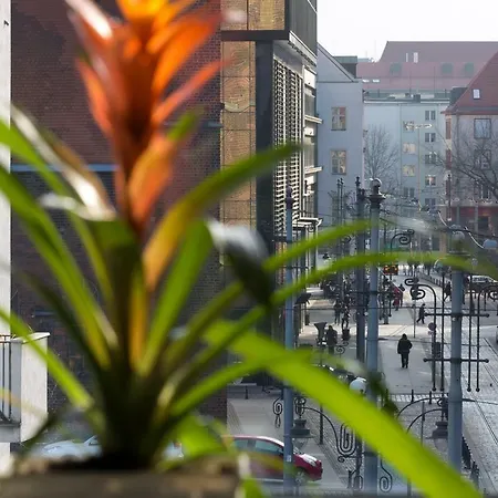 Apartment Green House - Stayinwroclaw *